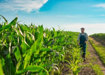 CNA e parceiros ampliam regularização do CAR no Tocantins com Programa RETIFICAR