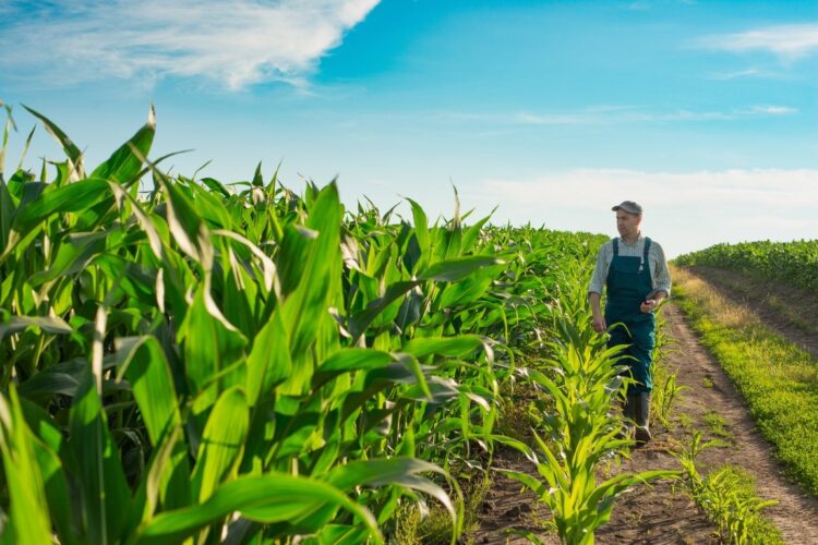 CNA e parceiros ampliam regularização do CAR no Tocantins com Programa RETIFICAR