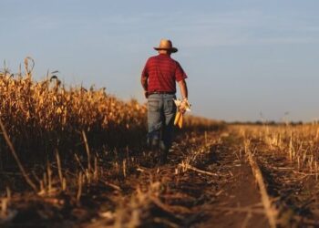 Desenrola Rural já renegociou mais de R$ 6 bilhões em dívidas da agricultura familiar