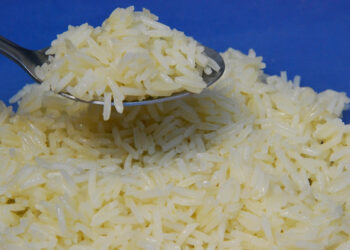 Programa Arroz da Gente receberá sementes crioulas conservadas pela Embrapa