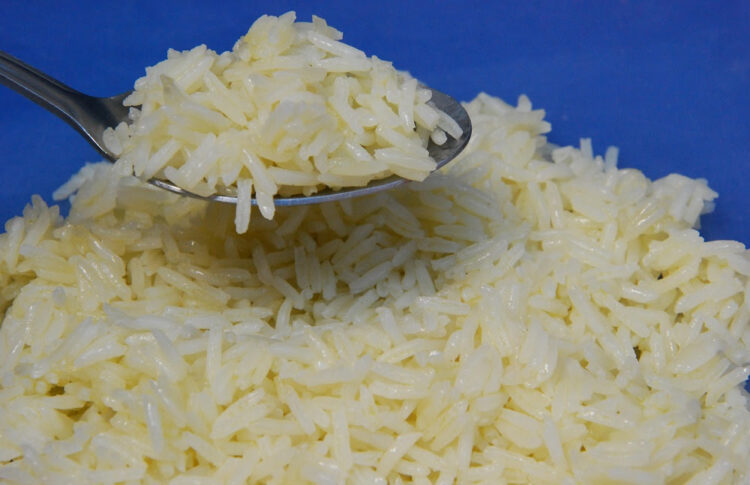 Programa Arroz da Gente receberá sementes crioulas conservadas pela Embrapa