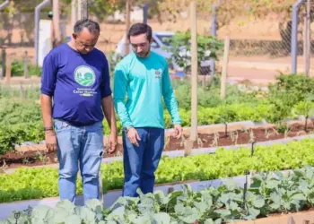 Hortas comunitárias de Palmas recebem visitas técnicas antes de capacitação