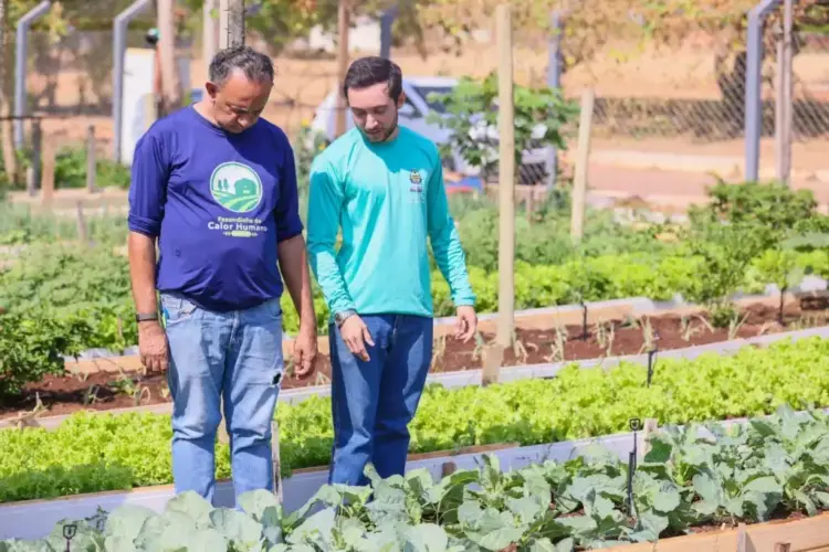 Hortas comunitárias de Palmas recebem visitas técnicas antes de capacitação
