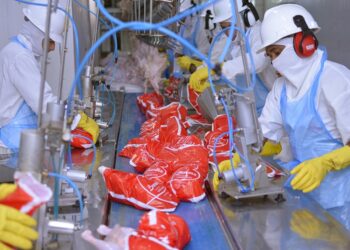 Tocantins se destaca com a segunda menor taxa de desocupação entre os estados do Norte