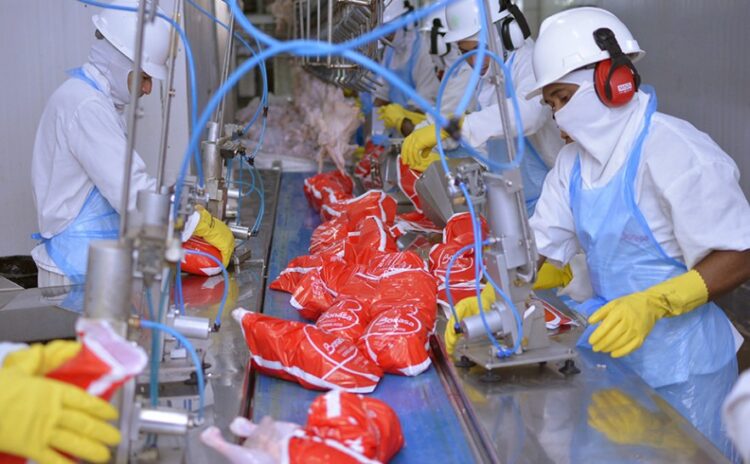 Tocantins se destaca com a segunda menor taxa de desocupação entre os estados do Norte