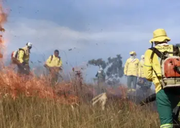 Naturatins atua em Unidades de Conservação para fortalecer prevenção e combate a incêndios