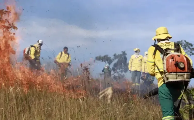 Naturatins atua em Unidades de Conservação para fortalecer prevenção e combate a incêndios