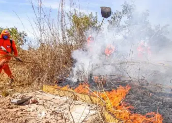 Tocantins integra simulado nacional do sistema “Defesa Civil Alerta” neste sábado, 13