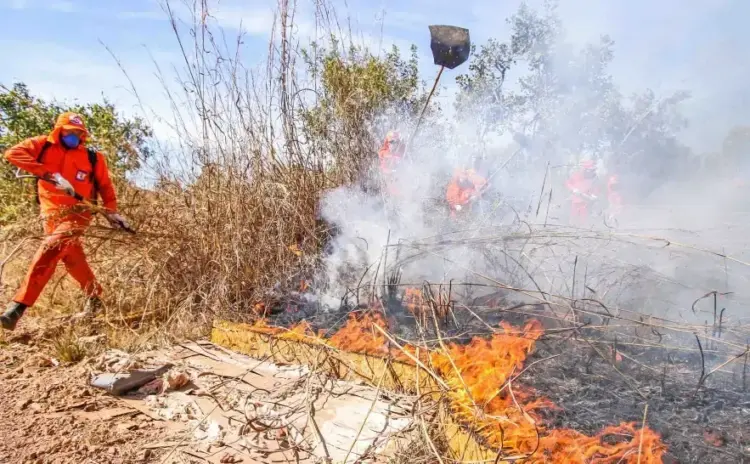 Tocantins integra simulado nacional do sistema “Defesa Civil Alerta” neste sábado, 13