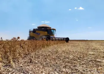 Colheita de soja nas Planícies Tropicais teve prazo final no último sábado, 20