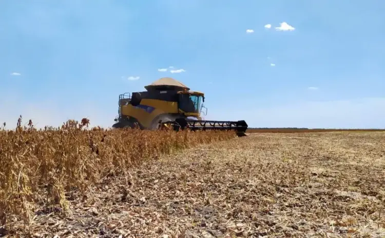Colheita de soja nas Planícies Tropicais teve prazo final no último sábado, 20