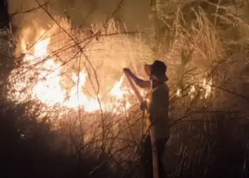 Multa de R$ 6 mil: homem é autuado por incêndio criminoso e obstrução do combate ao fogo