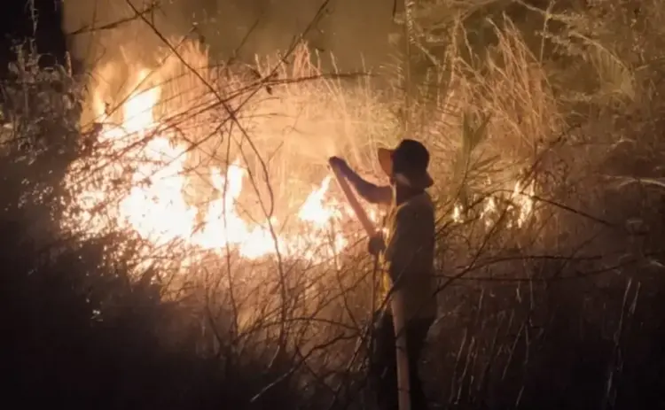 Multa de R$ 6 mil: homem é autuado por incêndio criminoso e obstrução do combate ao fogo