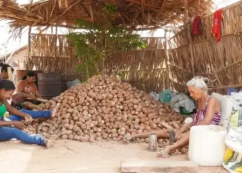 Cadastro de artesãs e mapeamento de quebradeiras de coco mobilizam Augustinópolis