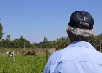 Regularização de imóveis rurais em Palmas: Por que um advogado especialista em agronegócio faz a diferença