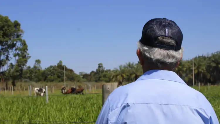 Regularização de imóveis rurais em Palmas: Por que um advogado especialista em agronegócio faz a diferença