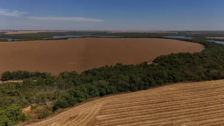 FPA acusa governo de uso indevido da máquina pública ao intervir na Moratória da Soja
