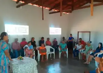 Agricultores familiares de Ponte Alta do Tocantins têm produção impulsionada pelo Projeto Renovar