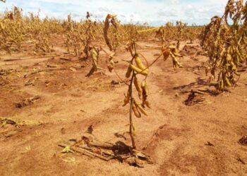 Dívidas dos produtores rurais gaúchos totalizam R$ 27,4 bilhões, conclui Farsul