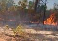 FOGO SEM CONTROLE: Incêndio ameaça moradores há mais de quatro dias e autoridades se omitem