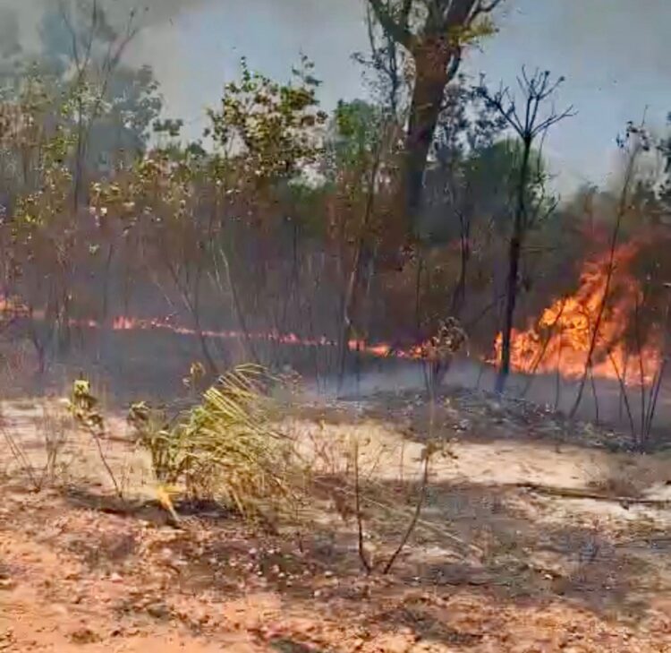 FOGO SEM CONTROLE: Incêndio ameaça moradores há mais de quatro dias e autoridades se omitem