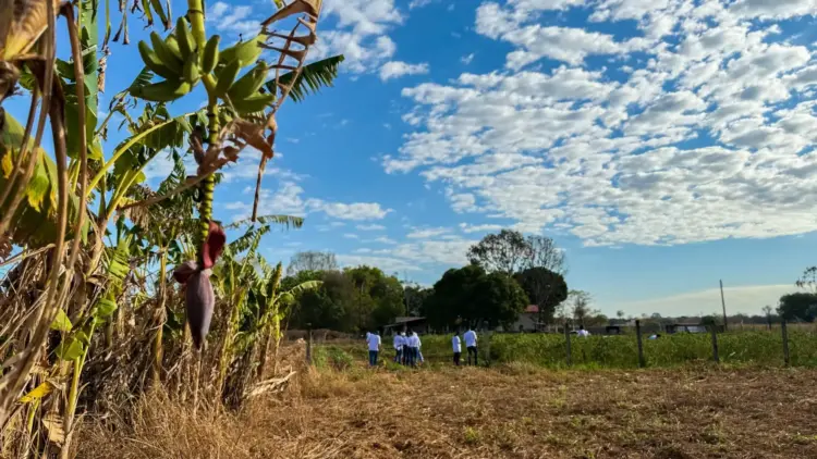 Último treinamento do AgroNorte no Tocantins destaca fruticultura sustentável