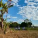 Último treinamento do AgroNorte no Tocantins destaca fruticultura sustentável