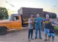 Cavalo abandonado em Paraíso do Tocantins é resgatado debilitado e ganha novo lar