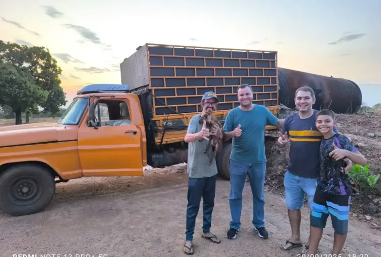 Cavalo abandonado em Paraíso do Tocantins é resgatado debilitado e ganha novo lar