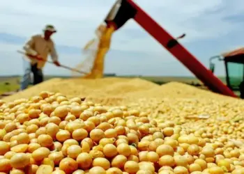 Produção de grãos no Tocantins chega a 9,1 milhões de toneladas em 2024/25