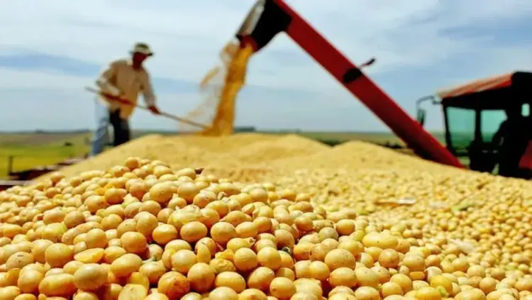 Produção de grãos no Tocantins chega a 9,1 milhões de toneladas em 2024/25