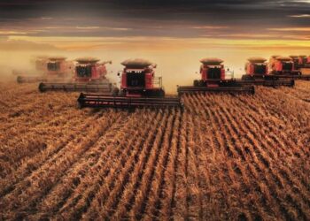 Fazenda de R$ 108 milhões é vendida no Matopiba por gigante do agro; saiba quem comprou