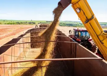 Compras de soja pela China disparam após Argentina retomar taxa de exportação