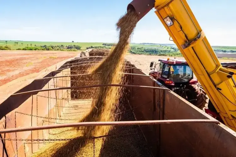 Compras de soja pela China disparam após Argentina retomar taxa de exportação