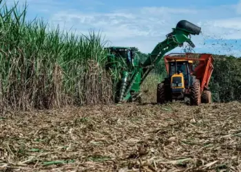 Unitins prorroga inscrições gratuitas do Vestibular EaD 2026/1 até 8 de outubro; um dos cursos ofertados é Tecnologia em Gestão do Agronegócio