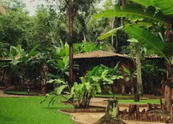 Mercado de bem-estar movimenta US$ 96 bilhões no Brasil e chega com força ao Tocantins