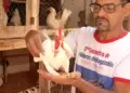 Garnizé Nagasaki: Galinhas ornamentais conquistam casal no Tocantins com beleza e simpatia