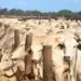 Rebanho bovino do Tocantins é quase oito vezes maior que a população humana, aponta IBGE