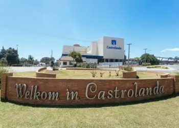 Castrolanda investe no Tocantins e lança projeto pioneiro de produção de cacau no Norte