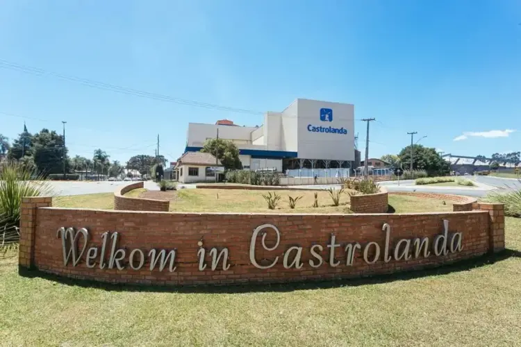 Castrolanda investe no Tocantins e lança projeto pioneiro de produção de cacau no Norte