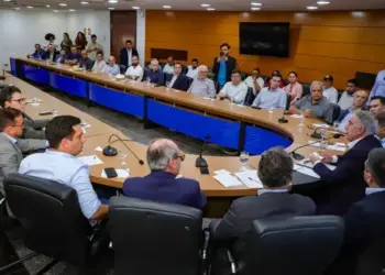 Com participação de mais de 30 produtores, Estado anuncia mutirão ambiental e ações estratégicas para o agronegócio