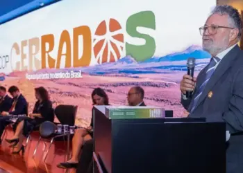 Tocantins protagoniza debate na COP Cerrados e apoia reconhecimento do bioma na pauta climática mundial