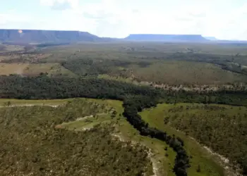 Tocantins regulamenta procedimentos do Cadastro Ambiental Rural e do Programa de Regularização Ambiental