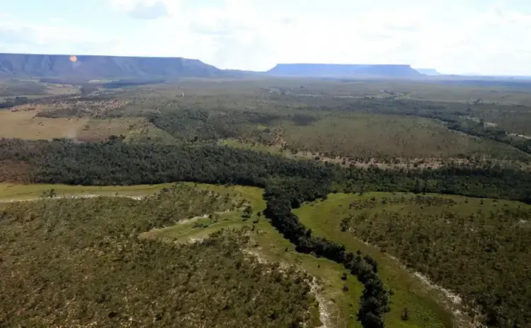 Tocantins regulamenta procedimentos do Cadastro Ambiental Rural e do Programa de Regularização Ambiental