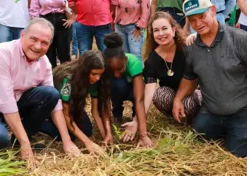 Projeto Plantando Água mobiliza produtores rurais no Tocantins para restaurar nascentes e proteger recursos hídricos