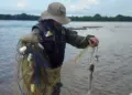 Operações ambientais intensificam o combate à pesca predatória em várias regiões do Tocantins