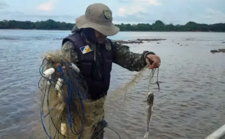 Operações ambientais intensificam o combate à pesca predatória em várias regiões do Tocantins