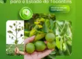 Curso aborda desafios e estratégias fitossanitárias para fortalecer a fruticultura do Tocantins