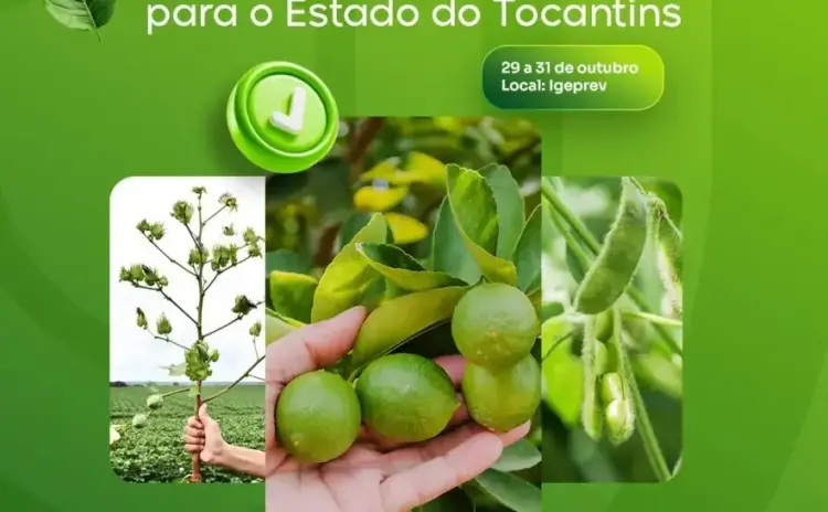 Curso aborda desafios e estratégias fitossanitárias para fortalecer a fruticultura do Tocantins