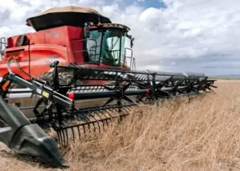 Setor agropecuário do Tocantins deve registrar o segundo maior crescimento do país em 2025